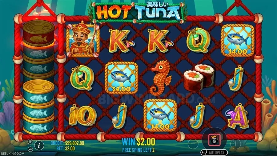 Jilibet Sports Betting Tips for Beginners